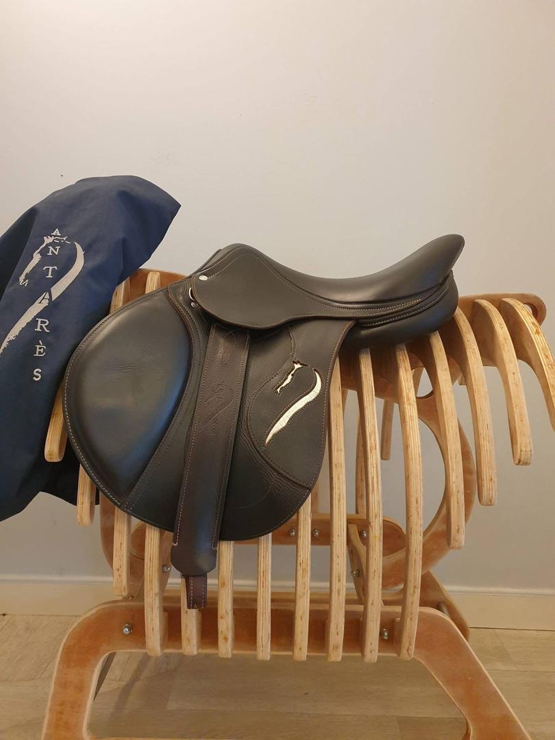 Gorgeous Antares Connexion jumping saddle & One year old,